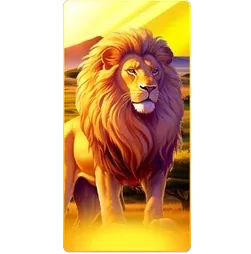 Lion
Safari